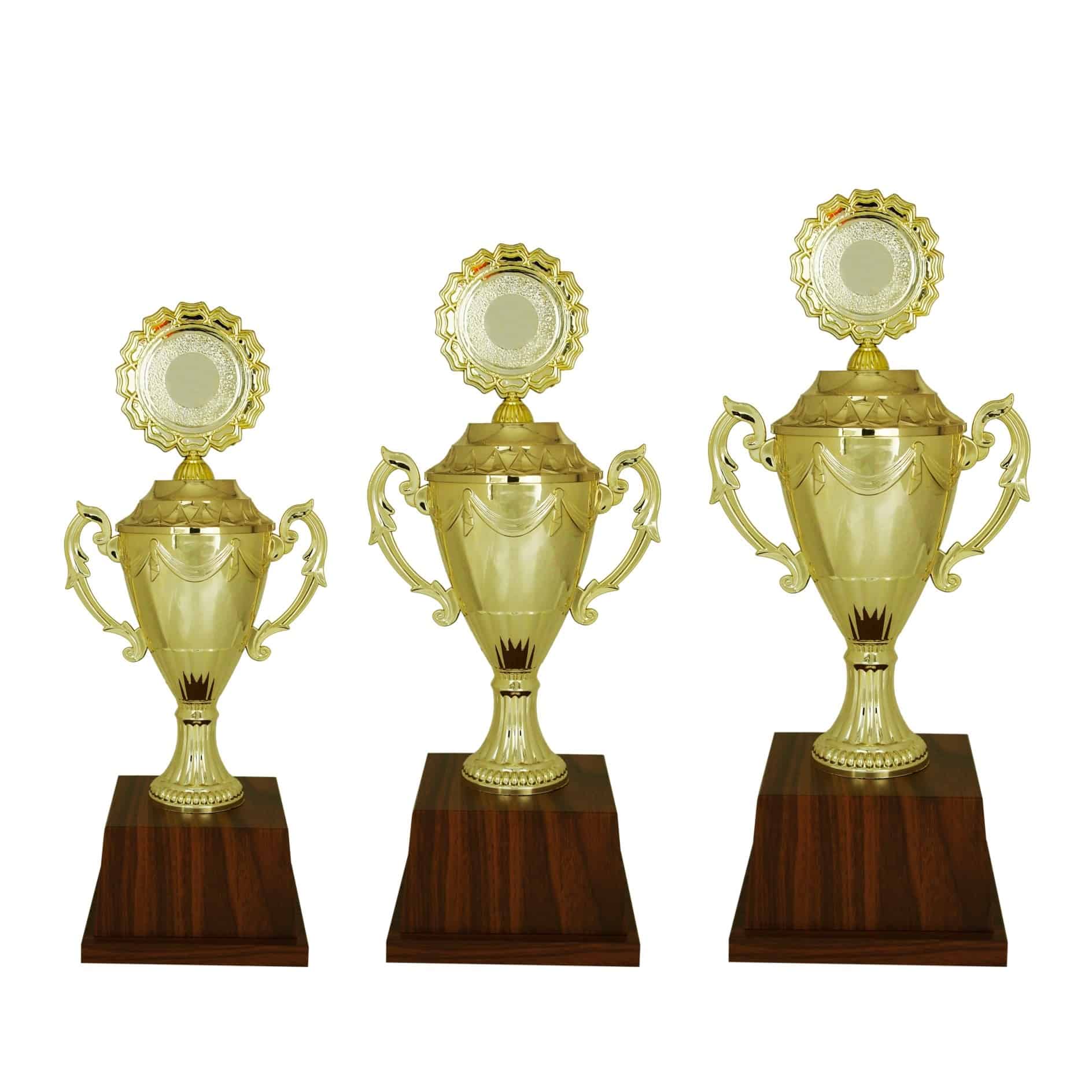 Acrylic Trophy Acrylic Trophy (Golden) AC4007 Acrylic Trophy Acrylic Trophy (Golden) AC4007