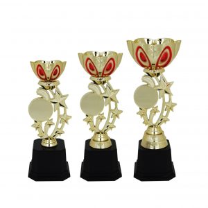 Acrylic Trophy Acrylic Star Trophy AC4024 Acrylic Trophy Acrylic Star Trophy AC4024