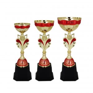 Acrylic Trophy Acrylic Trophy (Golden) AC4036