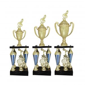 Acrylic Trophy Acrylic Music & Microphone Trophy AC4042