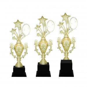 Acrylic Trophy Acrylic Star Trophy (Flower) AC4079 Acrylic Trophy Acrylic Star Trophy (Flower) AC4079