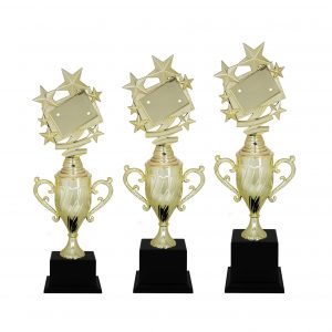 Acrylic Trophy Acrylic Star Trophy AC4080 Acrylic Trophy Acrylic Star Trophy AC4080