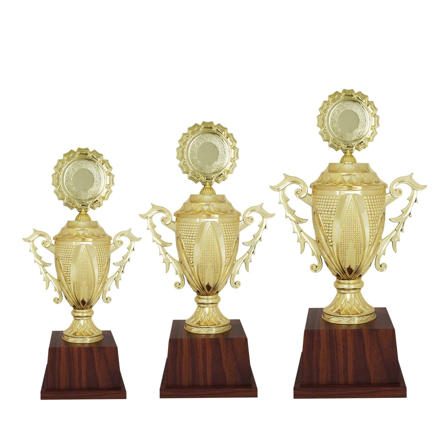 Acrylic Trophy Acrylic Trophy (Golden) AC4083 Acrylic Trophy Acrylic Trophy (Golden) AC4083