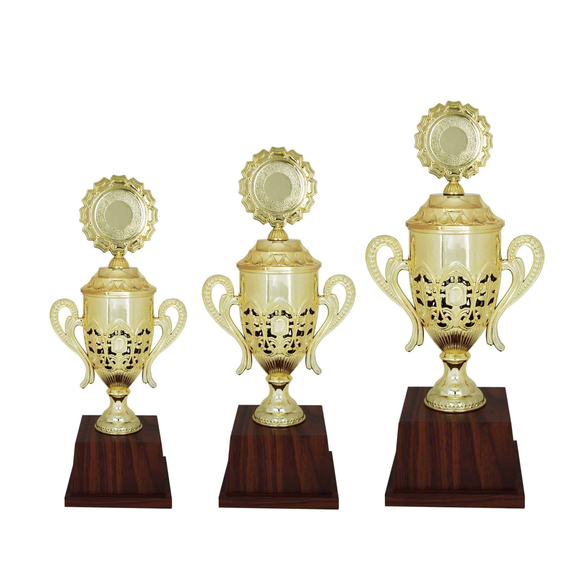 Acrylic Trophy Acrylic Trophy (Golden) AC4084 Acrylic Trophy Acrylic Trophy (Golden) AC4084