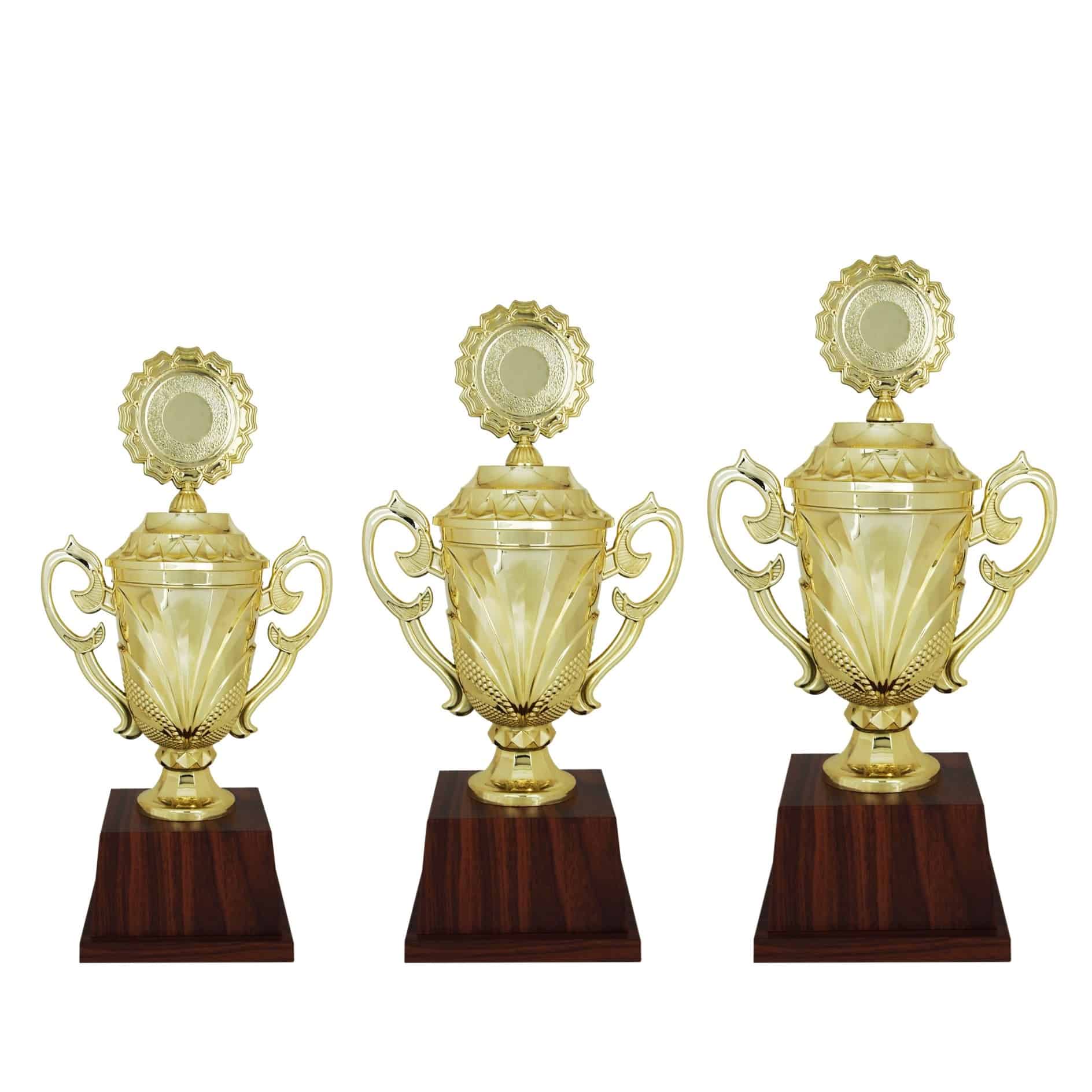 Acrylic Trophy Acrylic Trophy (Golden) AC4094 Acrylic Trophy Acrylic Trophy (Golden) AC4094