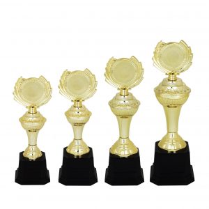 Acrylic Trophy Acrylic Trophy (Golden) AC4104 Acrylic Trophy Acrylic Trophy (Golden) AC4104