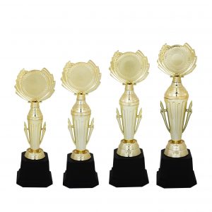 Acrylic Trophy Acrylic Trophy AC4114 Acrylic Trophy Acrylic Trophy AC4114