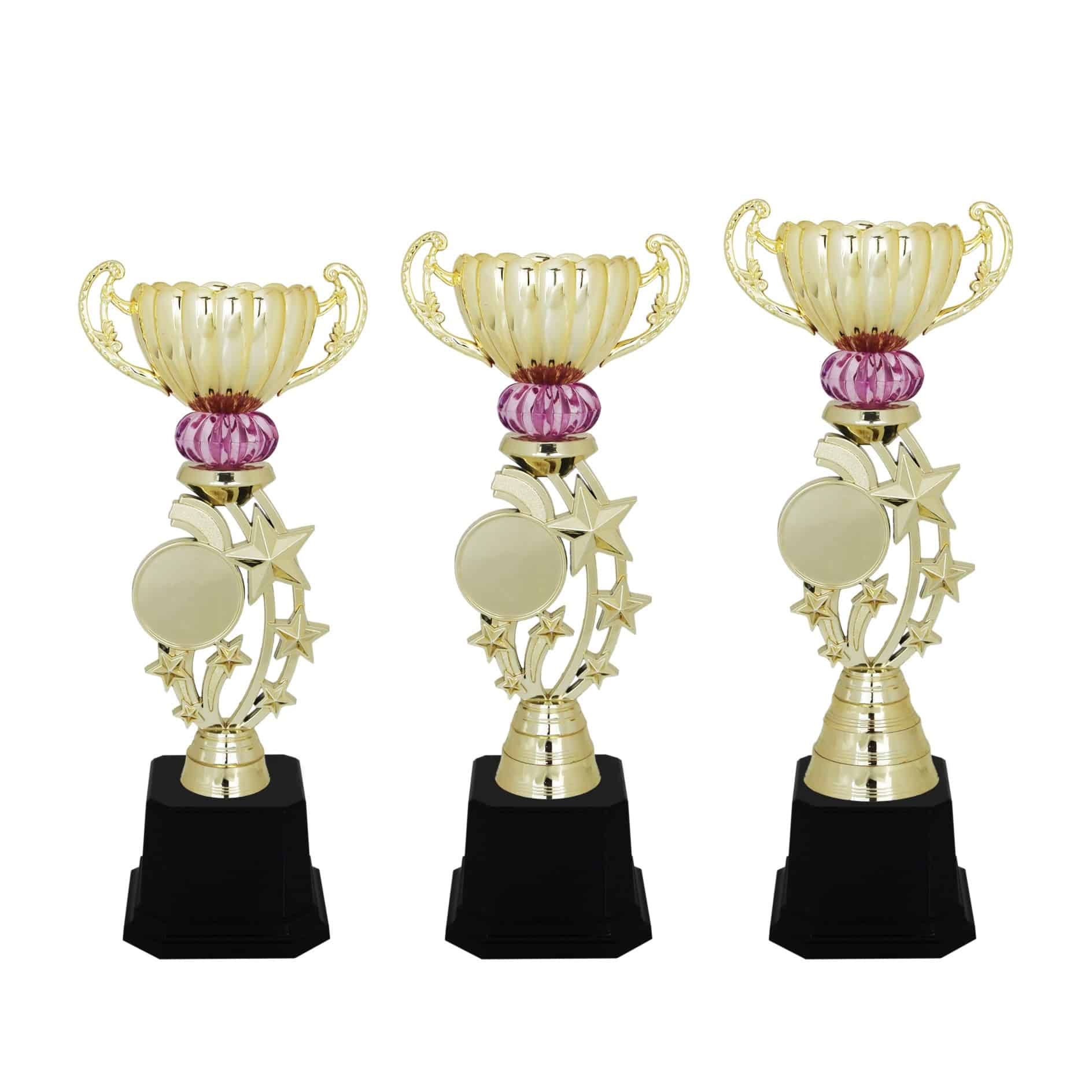Acrylic Trophy Star Trophy AC4119 Acrylic Trophy Star Trophy AC4119