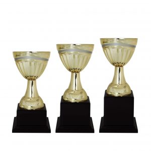 Acrylic Trophy Acrylic Trophy AC4121 Acrylic Trophy Acrylic Trophy AC4121