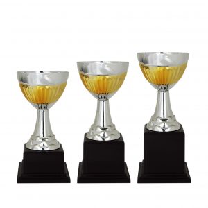Acrylic Trophy Acrylic Trophy AC4122