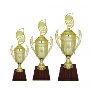Acrylic Trophy Acrylic Trophy AC4206 Acrylic Trophy Acrylic Trophy AC4206