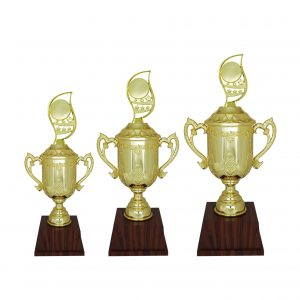 Acrylic Trophy Acrylic Trophy AC4209 Acrylic Trophy Acrylic Trophy AC4209