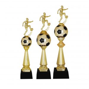 Acrylic Trophy Football Trophy AC4219