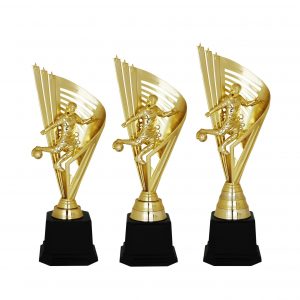 Acrylic Trophy Football Trophy AC4220