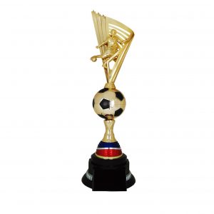 Acrylic Trophy Football Trophy AC4221