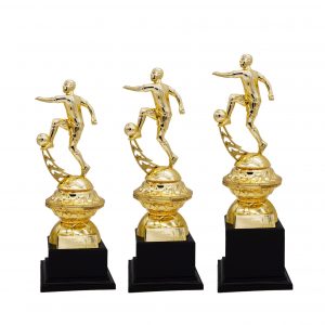 Acrylic Trophy Football Trophy AC4223