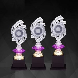 Acrylic Trophy Acrylic Trophy AC4245