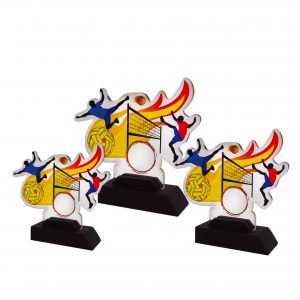 Acrylic Plaques Acrylic Plaque (Sepak Takraw) AC4259