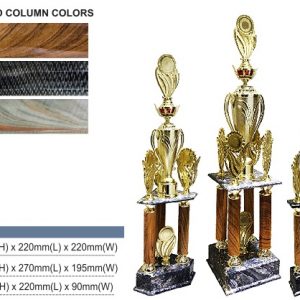 Acrylic Trophy Acrylic Challenge Trophy AC4308