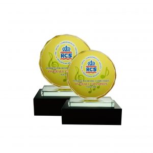 Crystal Plaques Crystal Glass Award CR8007