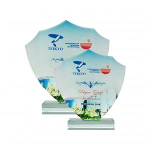 Crystal Plaques Crystal Glass Award CR8136