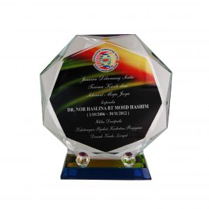 Crystal Plaques Crystal Glass Award CR8204