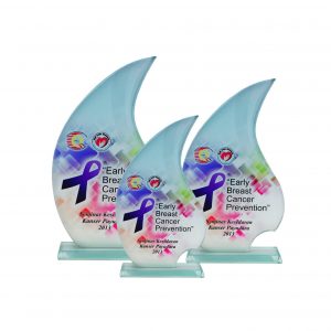 Crystal Plaques Crystal Glass Award CR8224