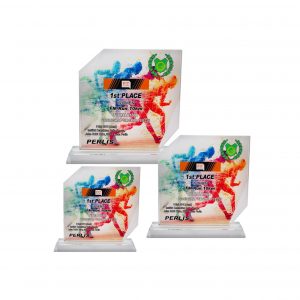 Crystal Plaques Crystal Glass Award CR8285