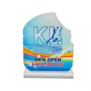 Crystal Plaques Crystal Glass Award CR8289