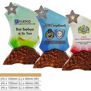 Crystal Plaques Crystal Award CR8314