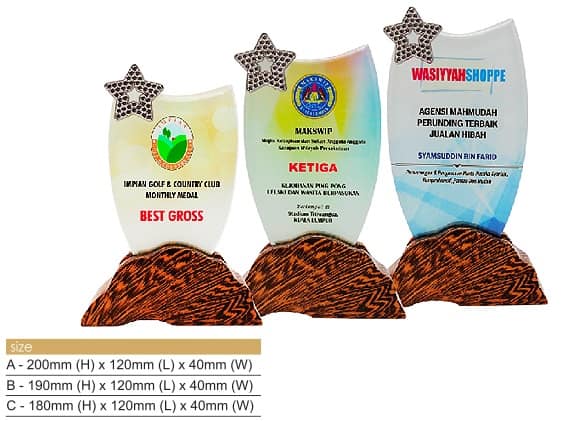 Crystal Plaques Star Crystal Award CR8321 Crystal Plaques Star Crystal Award CR8321