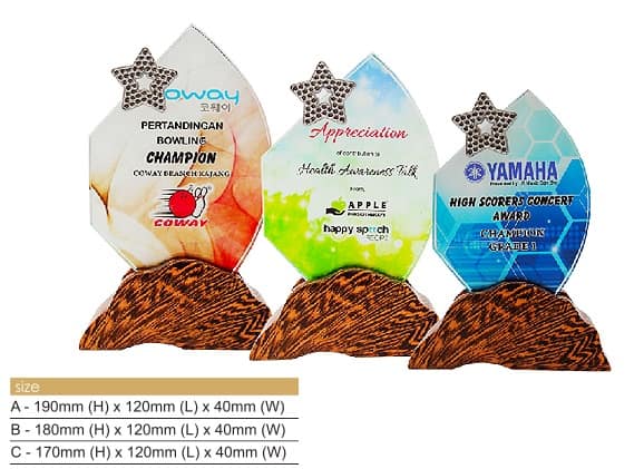 Crystal Plaques Star Crystal Award CR8324 Crystal Plaques Star Crystal Award CR8324
