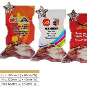 Crystal Plaques Color Crystal Award CR8330