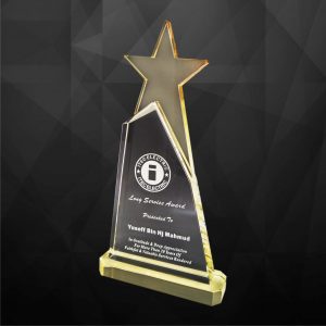 Crystal Plaques Crystal Star Award CR9119