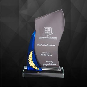 Crystal Plaques Crystal Plaque CR9213