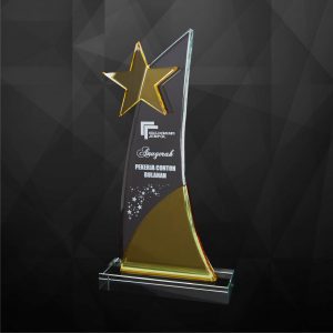 Crystal Plaques Crystal Star Plaque CR9228