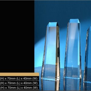 Crystal Trophy Crystal Trophy CR9312