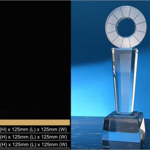 Crystal Trophy Crystal Trophy CR9313