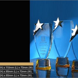 Crystal Trophy Star Crystal Trophy CR9315