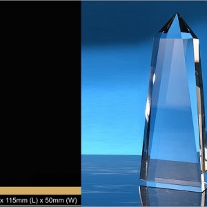 Crystal Trophy Crystal Trophy CR9319