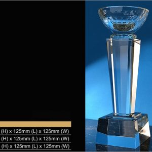 Crystal Trophy Crystal Cup Trophy CR9340