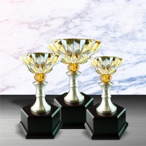 Crystal Trophy Silver Crystal Trophy EXWS6046 Crystal Trophy Silver Crystal Trophy EXWS6046