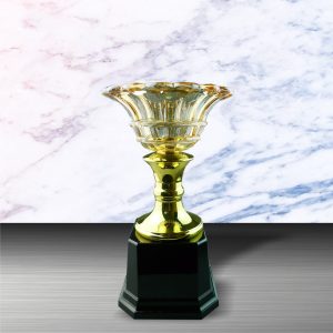 Crystal Trophy Golden Crystal Trophy EXWS6049