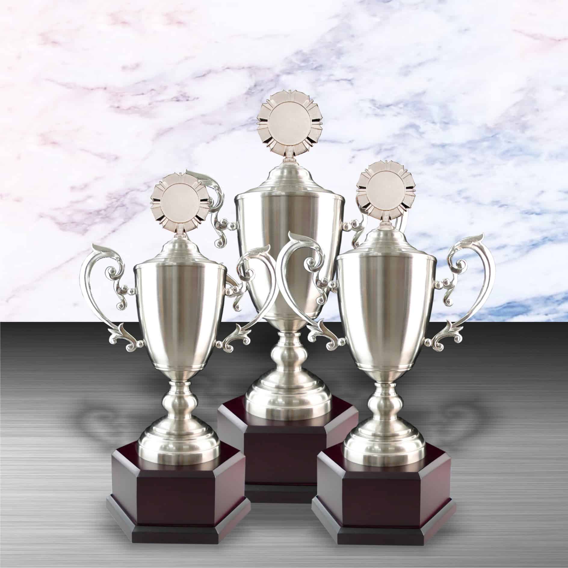 Silver Trophy Silver Trophy EXWS6058 Silver Trophy Silver Trophy EXWS6058