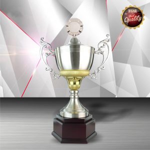 Challenge Trophy Silver Challenge Trophy EXWS6061