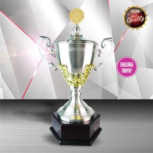 Challenge Trophy Silver Challenge Trophy EXWS6062