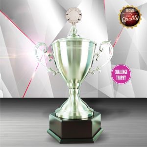Challenge Trophy Silver Challenge Trophy EXWS6066