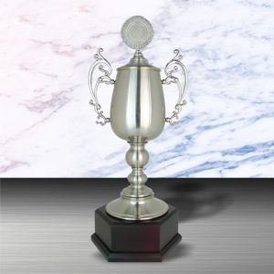 Challenge Trophy Silver Challenge Trophy EXWS6082