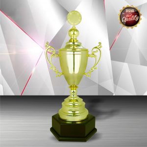 Challenge Trophy Golden Challenge Trophy EXWS6090
