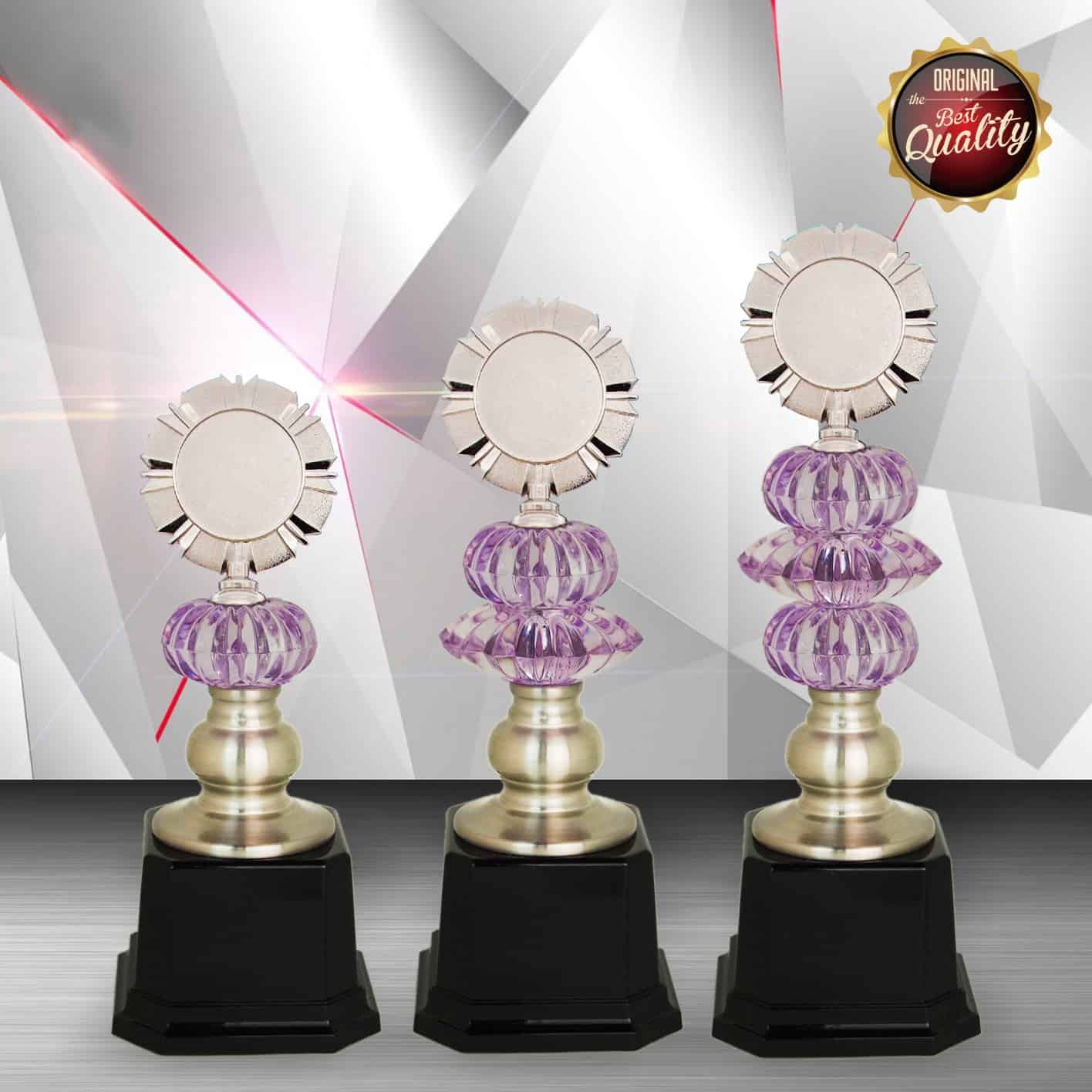 Silver Trophy Silver Trophy EXWS6110 Silver Trophy Silver Trophy EXWS6110